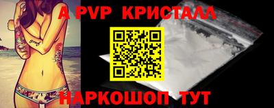 твердый Кингисепп