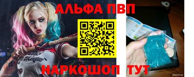 твердый Кингисепп