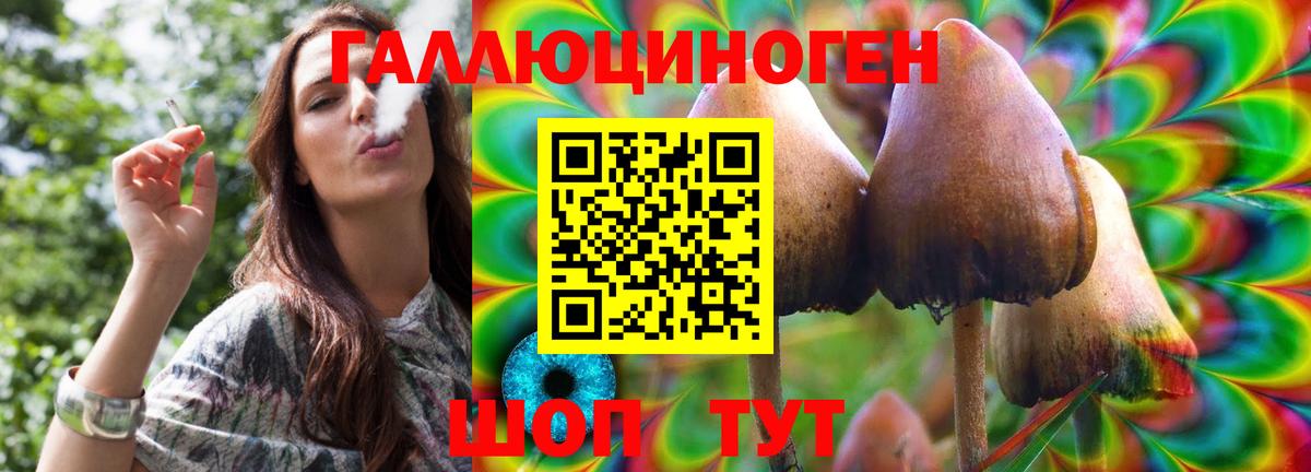 Галлюциногенные грибы прущие грибы  Вход с VPN  Электросталь 